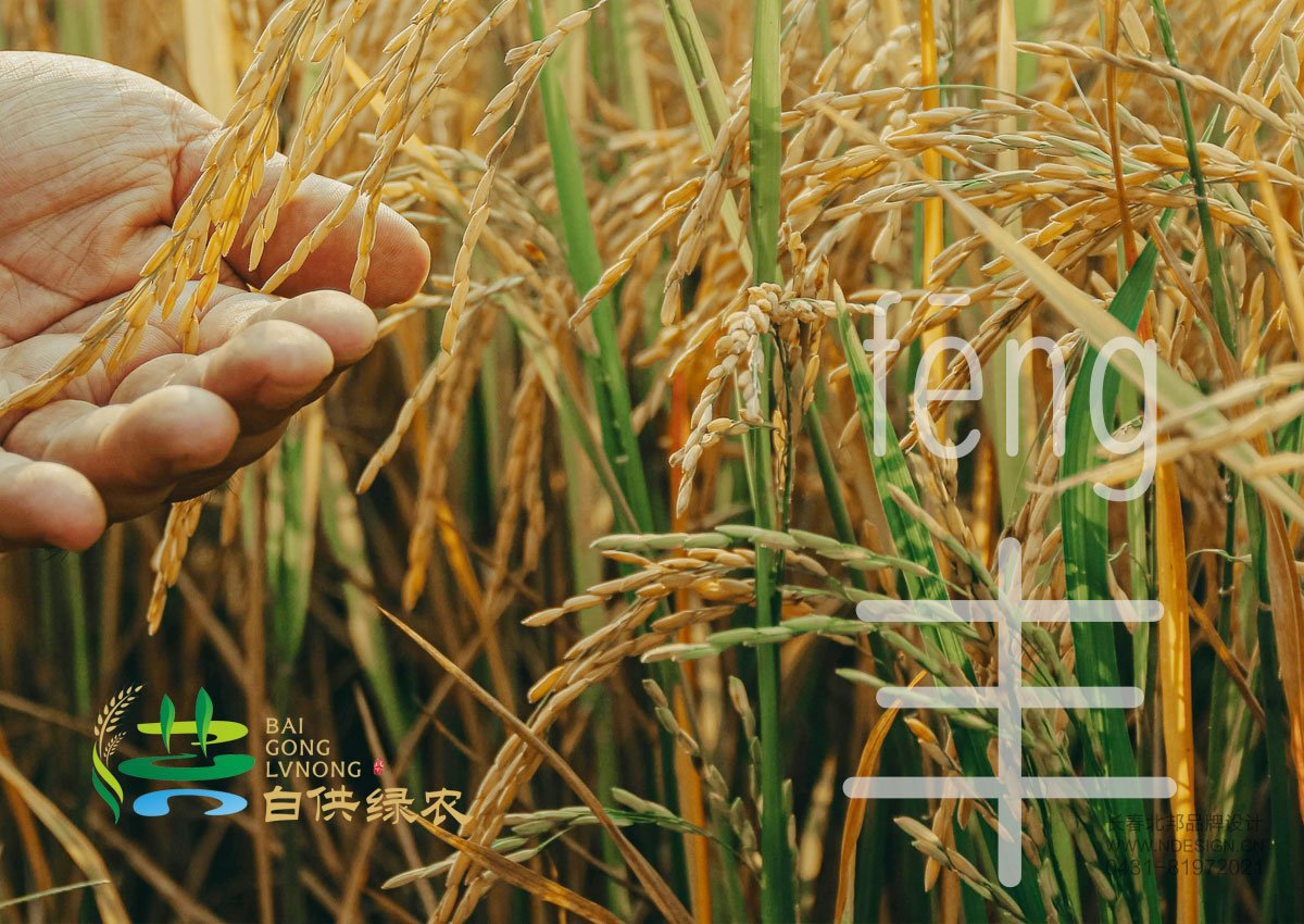 绿色品牌设计,农业品牌设计,公共品牌设计,公共品牌注册